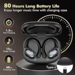 VEN-DEN'S/Any earbuds