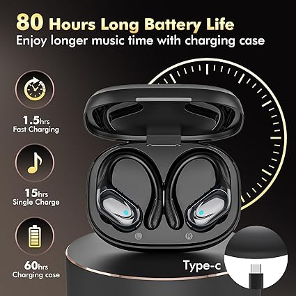 VEN-DEN'S/Any earbuds