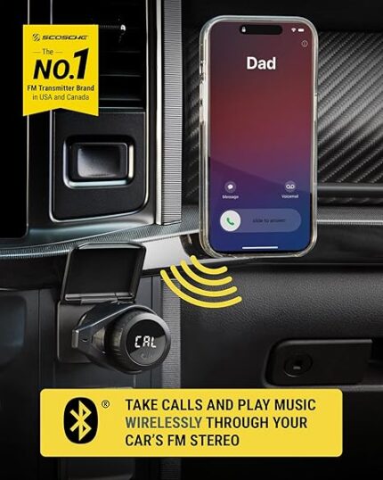 FM multifunctional car kit