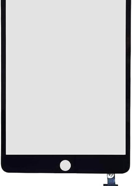iPad mini 3