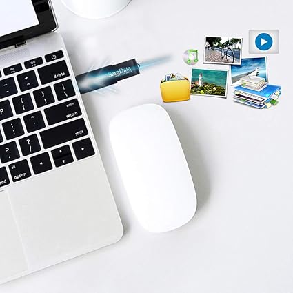 8 GB USB Drive