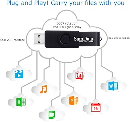 8 GB USB Drive