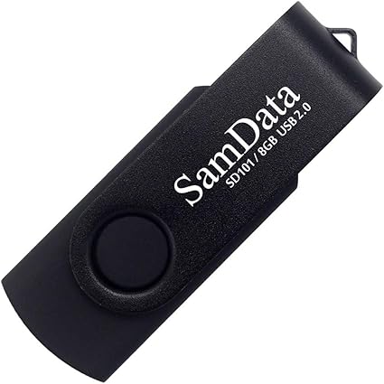 8GB USB Drive