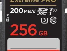 256GB Memory Card