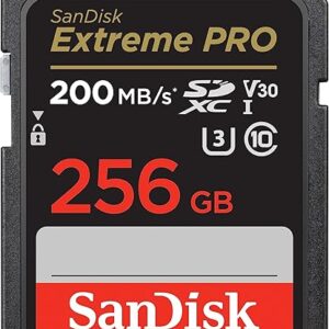 256GB Memory Card