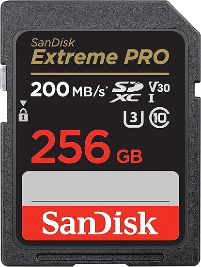 256GB Memory Card