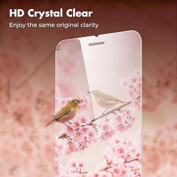 Apple iPhone SE standard Screen Protector