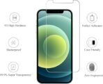 Apple iPhone 11 standard Screen Protector