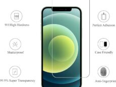 Apple iPhone 11 standard Screen Protector