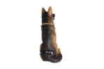 Dog GERMAN SHEPHERD SPEAKER