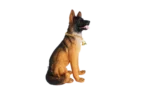 Dog GERMAN SHEPHERD SPEAKER