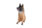 Dog GERMAN SHEPHERD SPEAKER