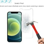 Apple iPhone 11 standard Screen Protector