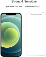 Apple iPhone 11 standard Screen Protector