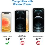 Apple iPhone 12 mini standard Screen Protector