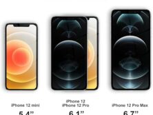 Apple iPhone 12 mini standard Screen Protector