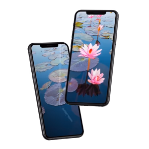 phones